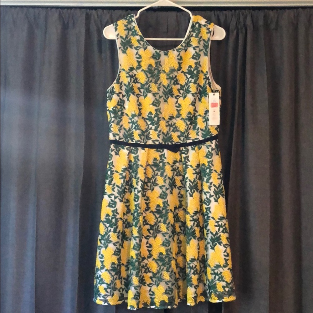 NWT Draper James Dress